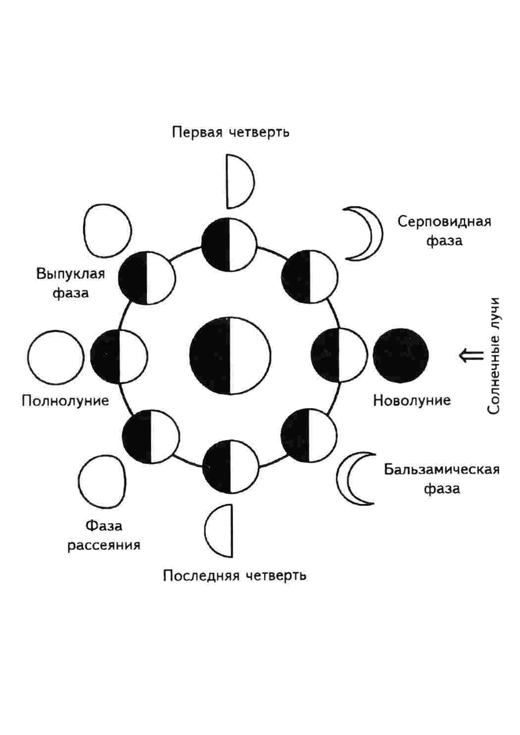 Наука, Астрономия, Раскраска, Астрономия, Спутник Земли, Луна, Фазы Луны.jpg