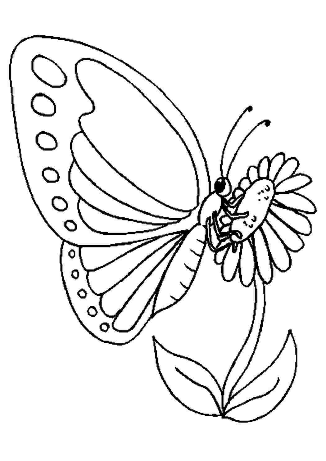 Раскраски Бабочка на цветке Бабочка на цветке Фото раскраски цветы Раскраска для девочки