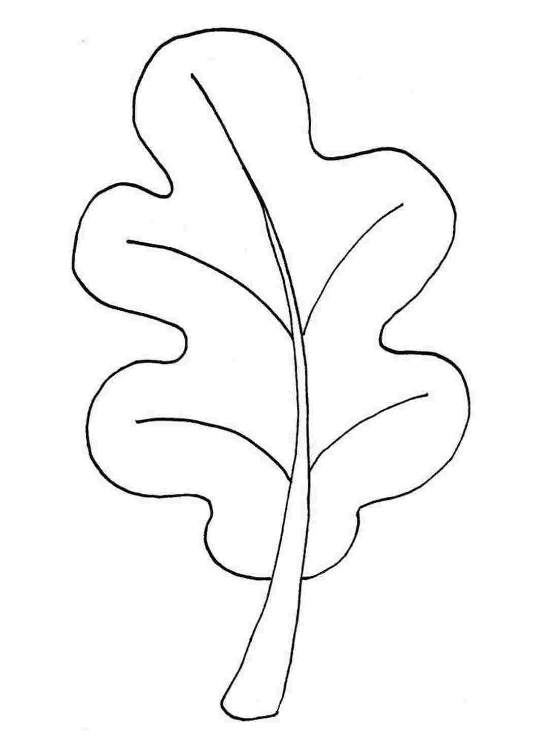 Раскраски лист дуба для поделок Раскраски Листья деревьев 