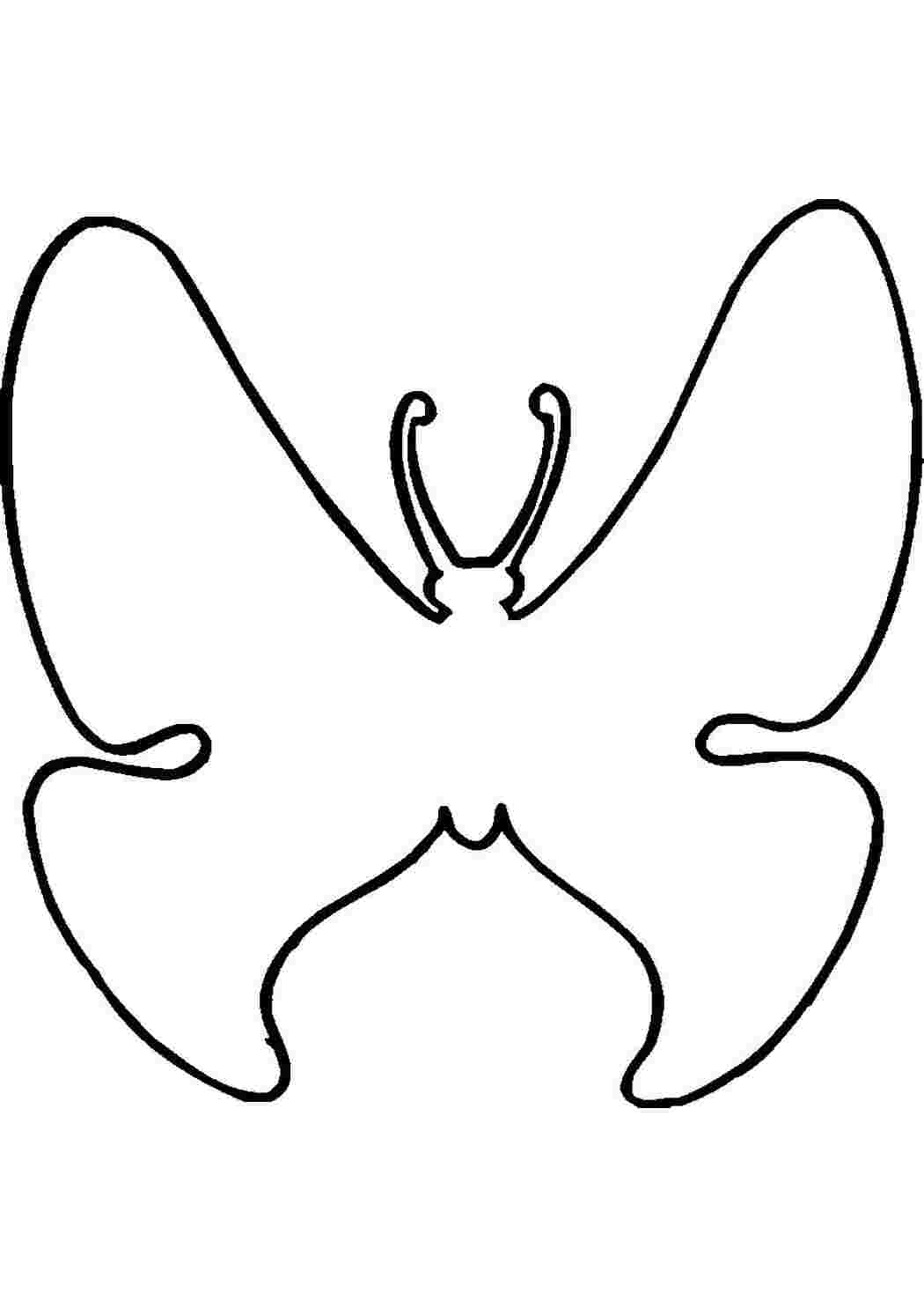 Бабочка раскраска трафарет - 70 фото