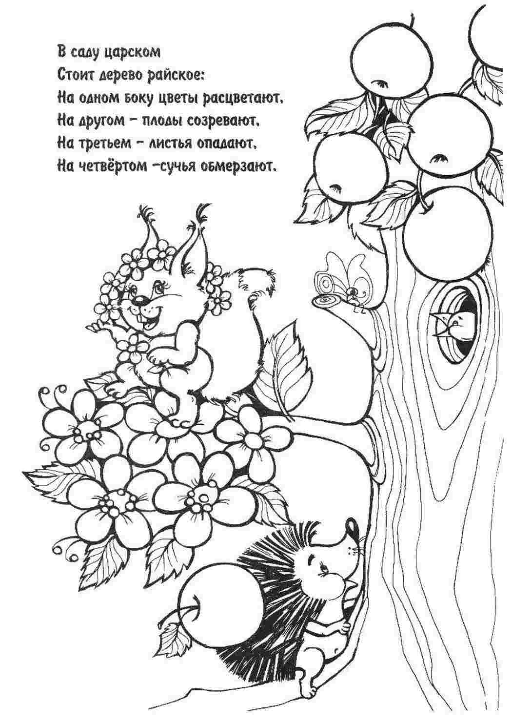 Раскраски Райское дерево загадки раскраски загадка, загадки