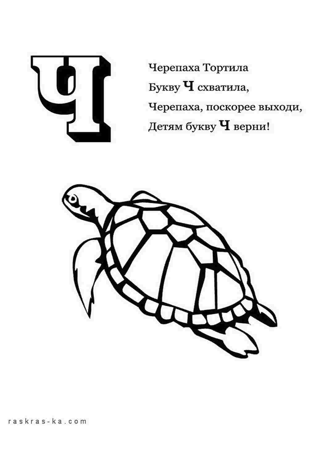 Раскраски Раскраска-алфавит,  раскрась букву "Ч" и черепаху Раскраски Раскраски буквы алфавита 
