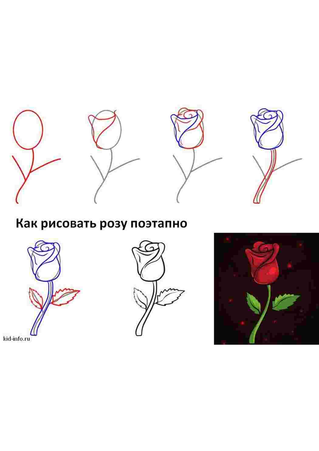 Раскраски Роза, рисовать, поэтапно Раскраски Как нарисовать 