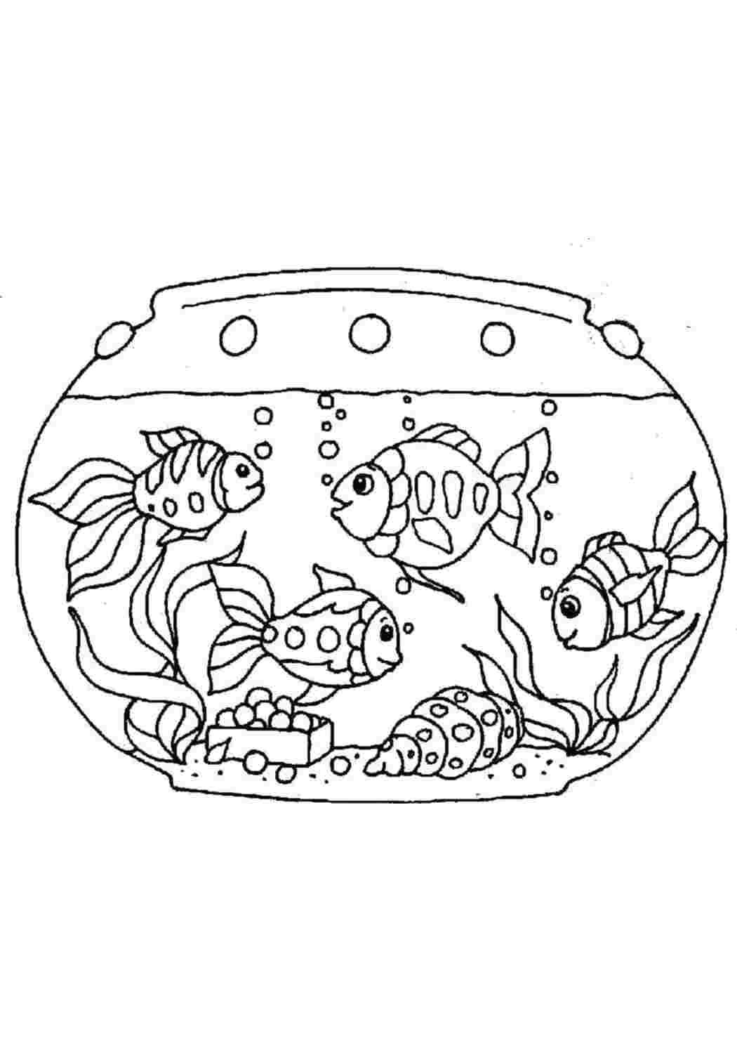 Раскраски Раскраски "аквариум" скачать и распечатать бесплатно Аквариумные рыбы Аквариумные рыбы