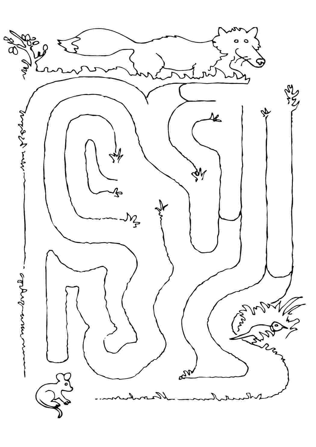 Раскраски Лиса охотится Лабиринты лабиринт, лиса