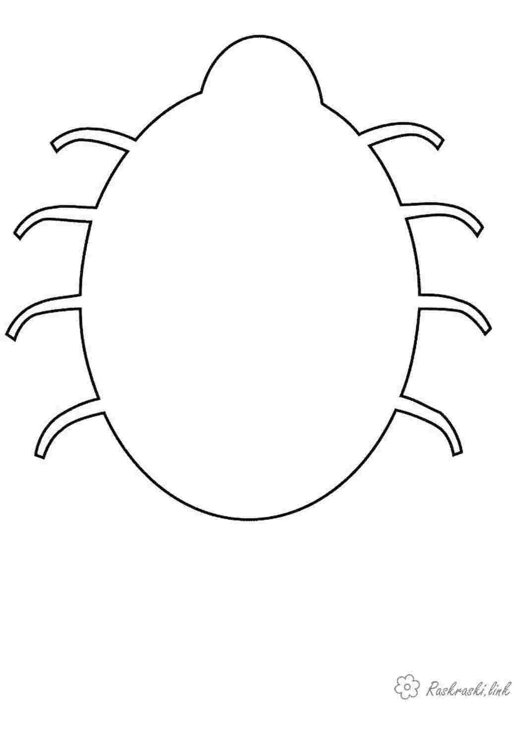 Раскраски Раскраски Дорисуй и раскрась дорисуй жука Жук Жук