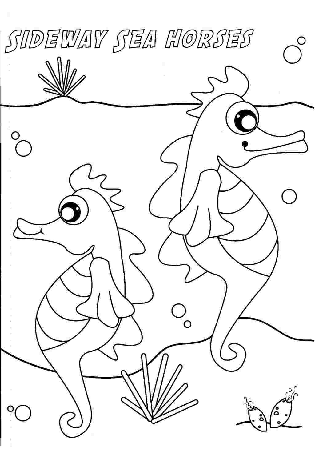 морское Подводный мир