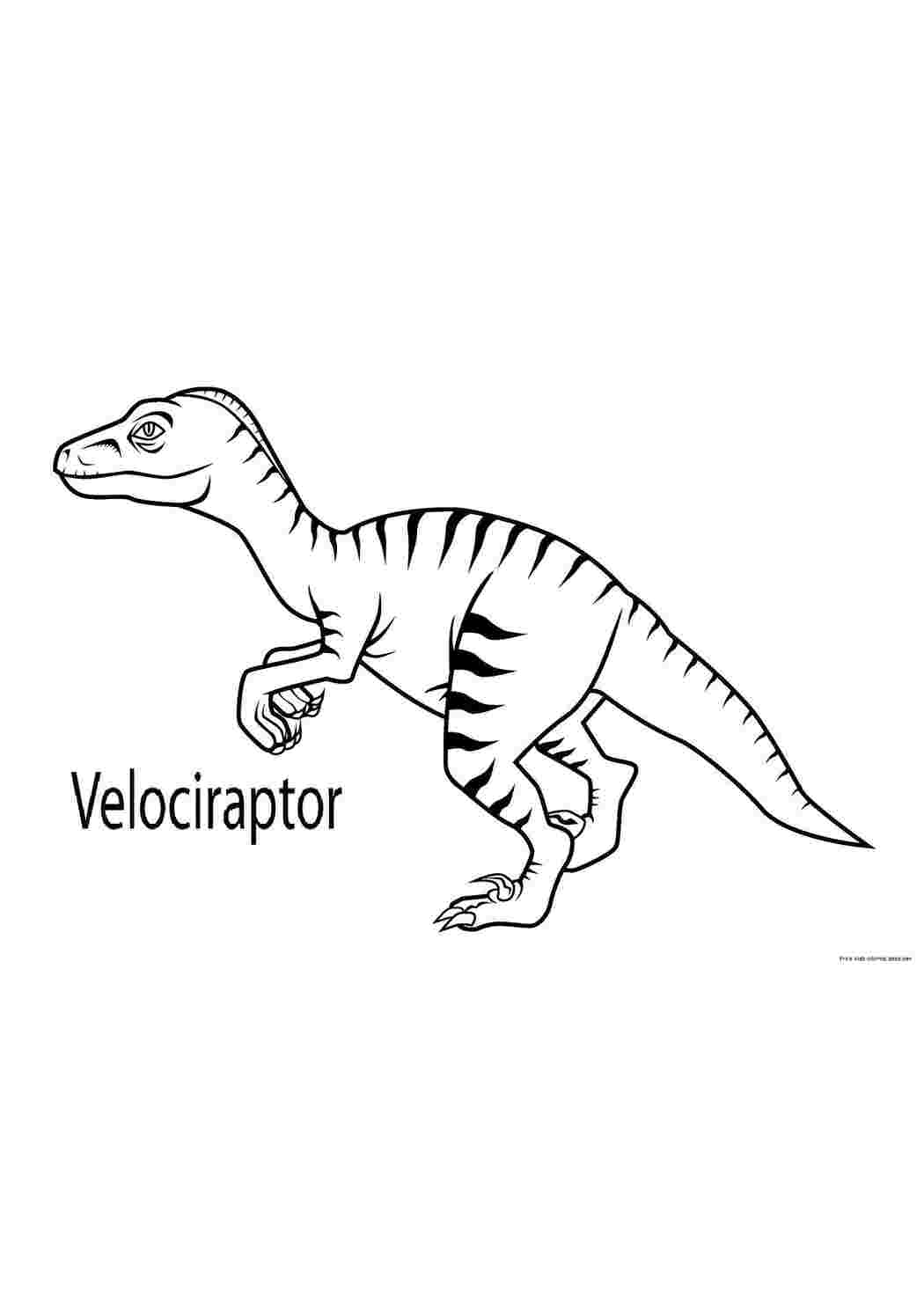 Раскраски Велоциратопс динозавр мультфильмы, динозавры, динозаврики