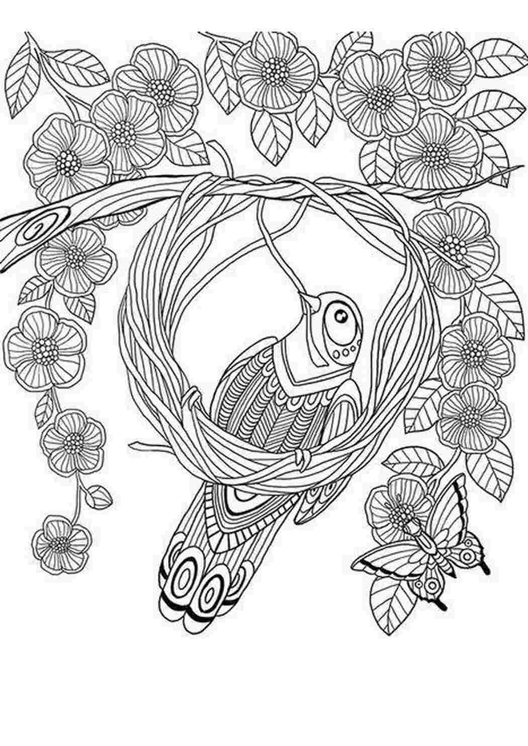 Раскраска аисты. раскраска аист с аистятами, аист в гнезде, гнездо аиста, раскраска птиц