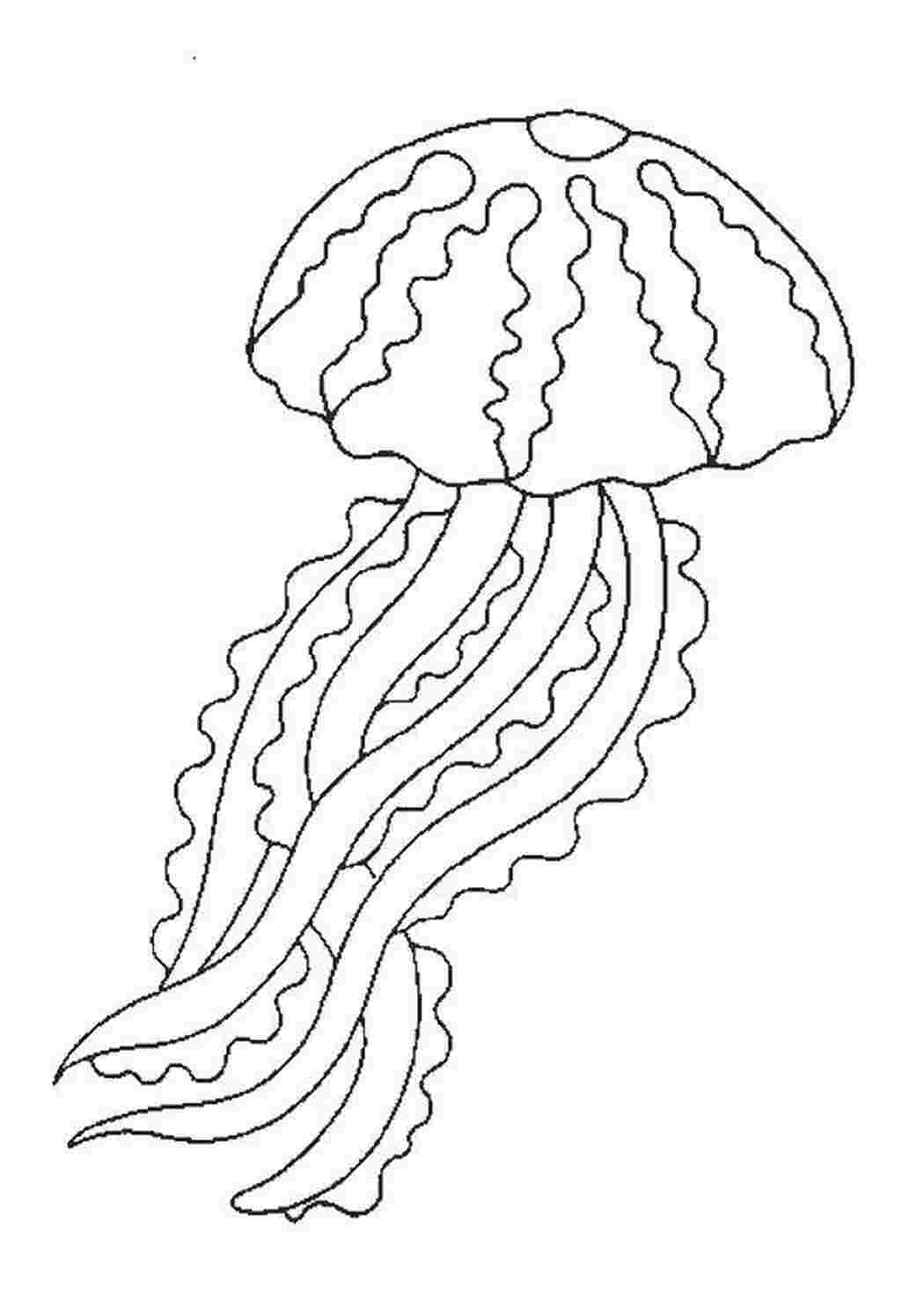 Раскраски Медуза с рисунками Морские обитатели Подводный мир, медуза