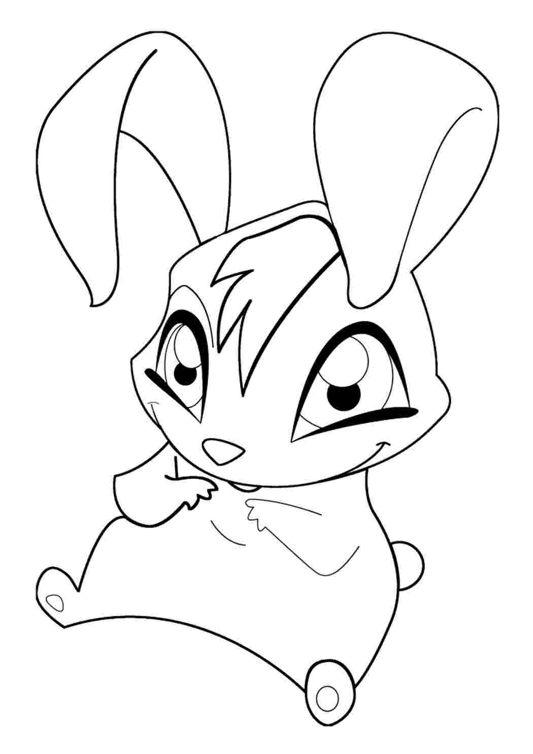 Раскраска кролик раскраски. Красивые раскраски. Кролик Кико - очень милый  зверёк.