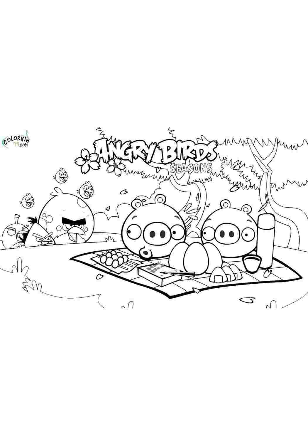 Раскраски Свинья из angry birds на пикнике Персонаж из игры Игры, Angry Birds 