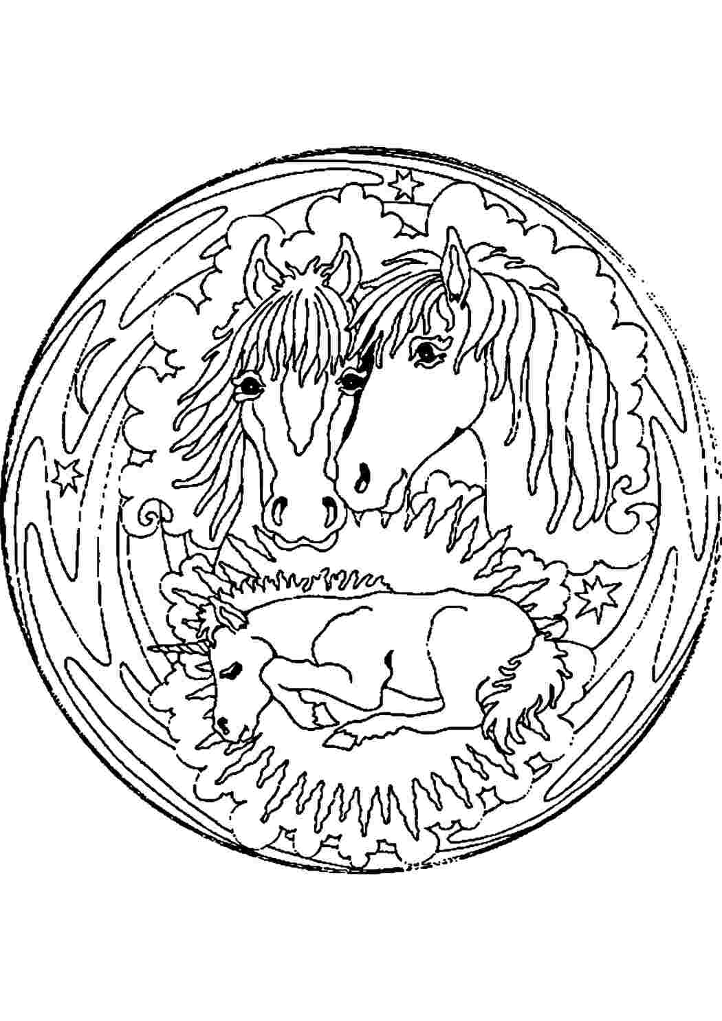 Раскраски Лошадки Животные животные, лошадь, конь, жеребенок