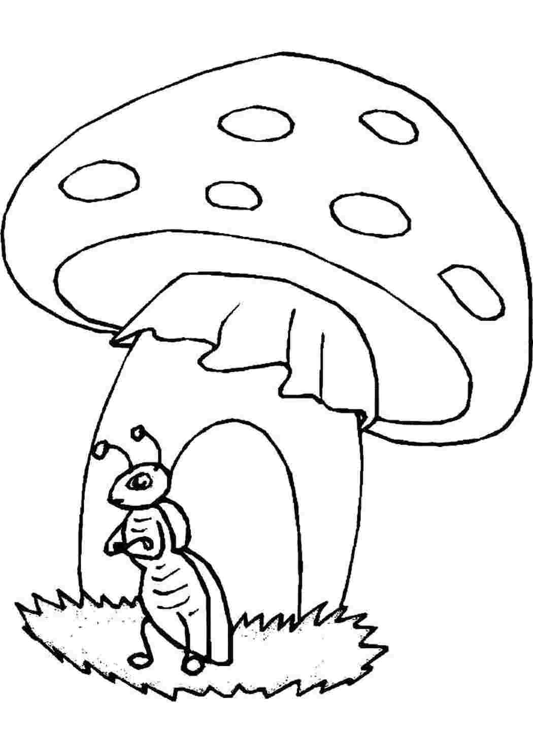 Раскраски гриб и муровей растения гриб