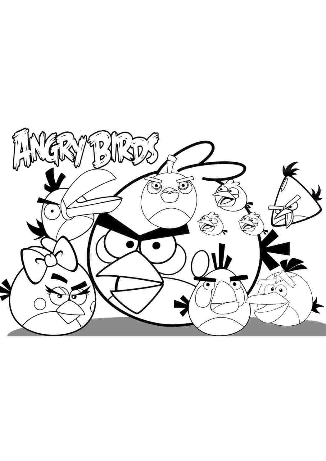 Раскраски картинки на рабочий стол онлайн Angry birds злые птички, команда птичек Раскраски для детей мальчиков