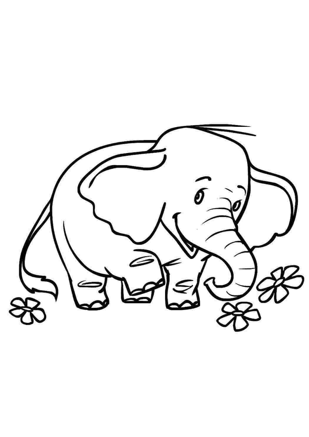 Раскраски Игривый Слоник  Дикие животные слон