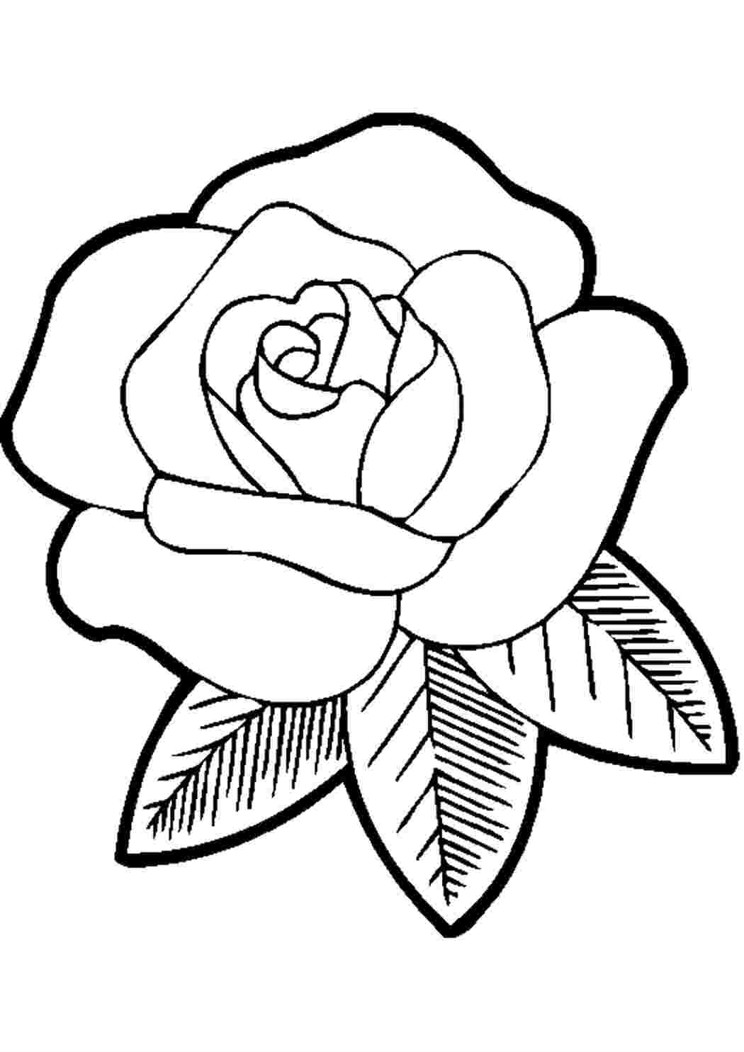 Раскраски Розочка цветы Цветы, роза