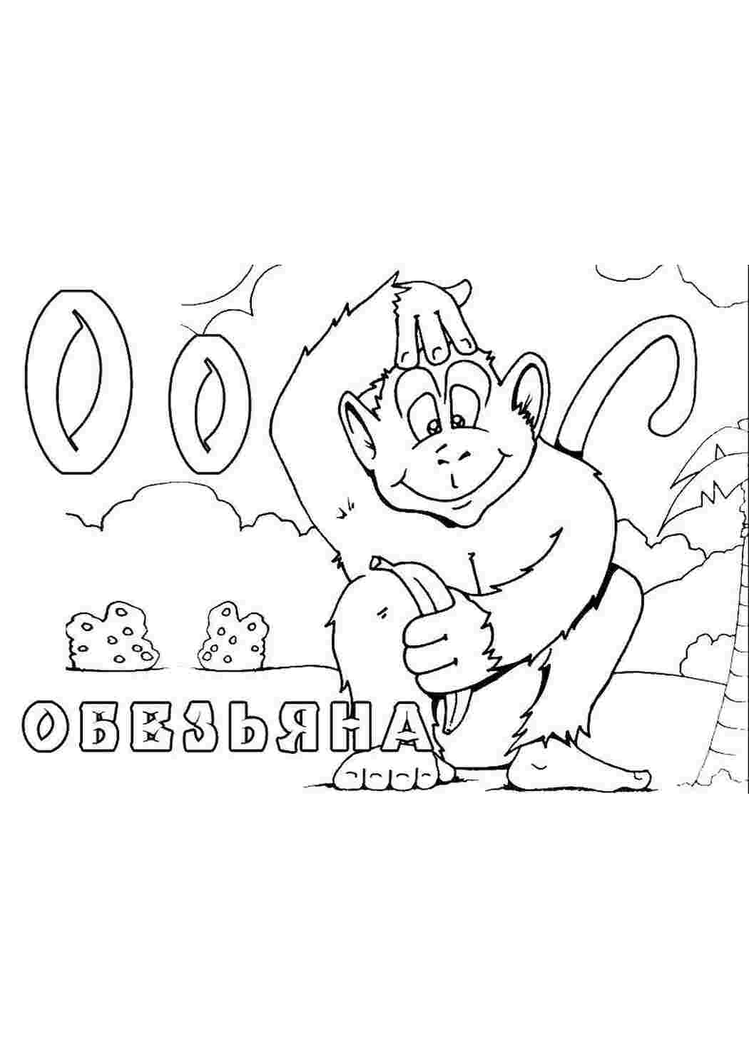 Животные животные, обезьяна, обезьянка