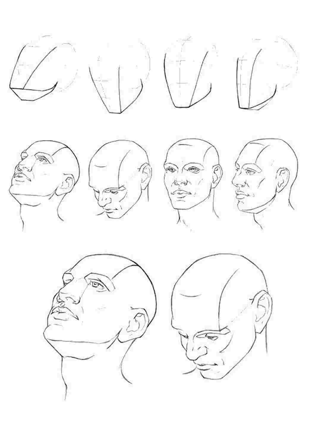Раскраски Как нарисовать голову как нарисовать пошагово голова