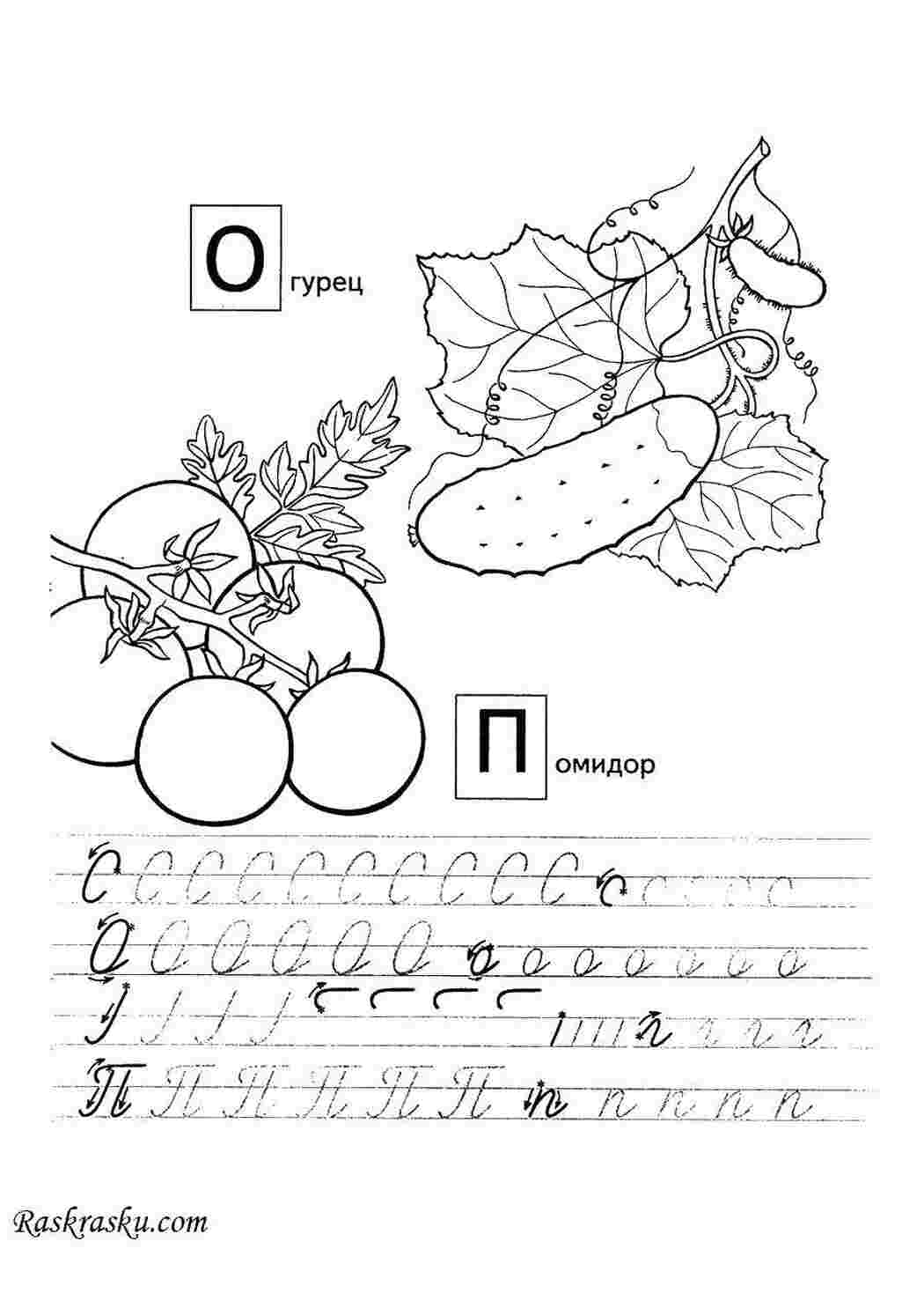 Овощи: помидор, огурец, морковь, капуста, лук...