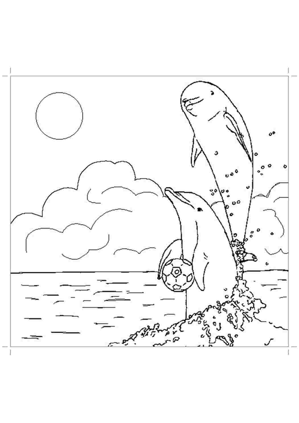 Игра Дельфины: Сборник Раскрасок