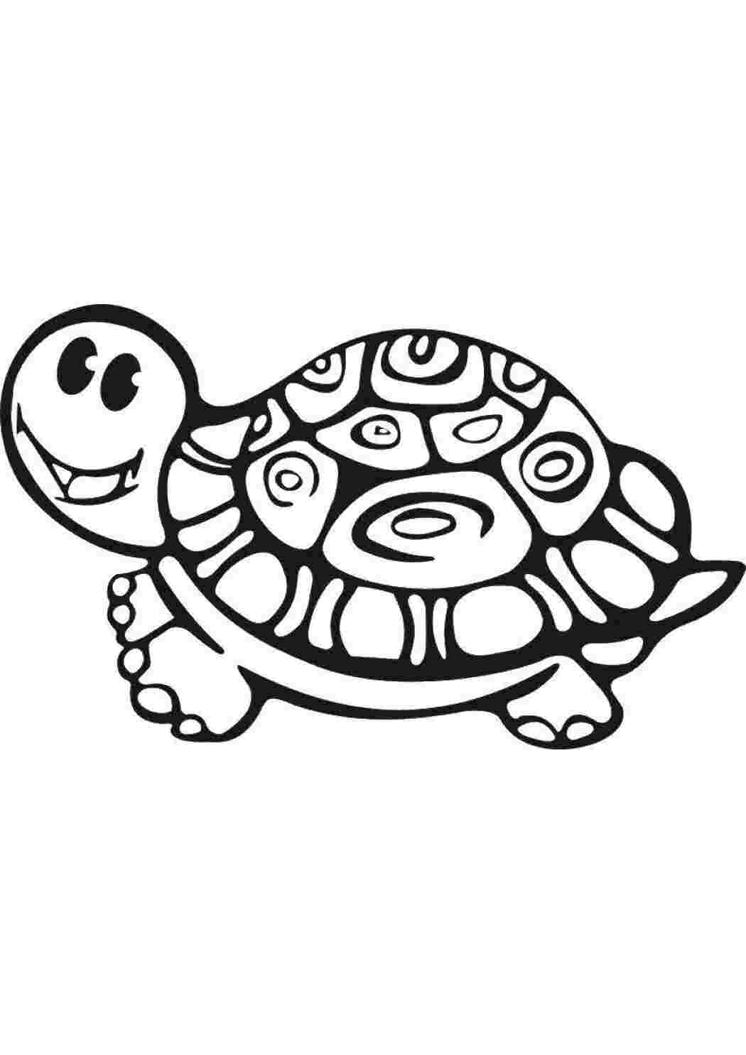Раскраски Маленькая черепашка раскраски черепаха, панцирь