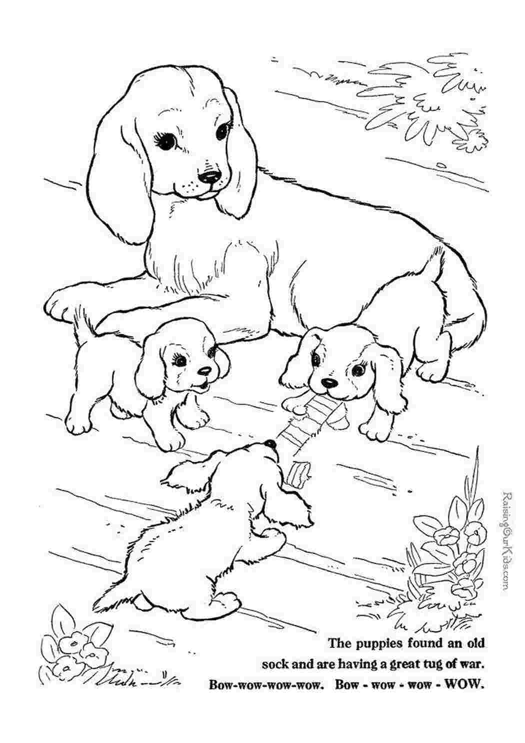 Раскраски Игры щенят возле мамы детеныши животных Животные, собака