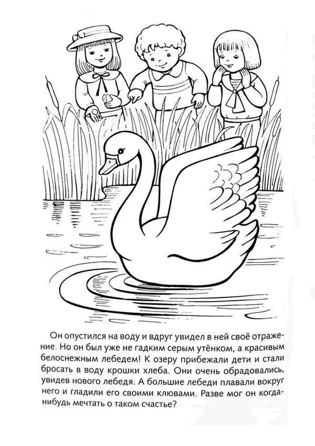 Раскраски Он опустился на воду и вдруг увидел в ней своё отражение. Но он был уже не гадким серым утёнком, а красивым белоснежным лебедем. Раскраски раскраски для детей по сказкам 
