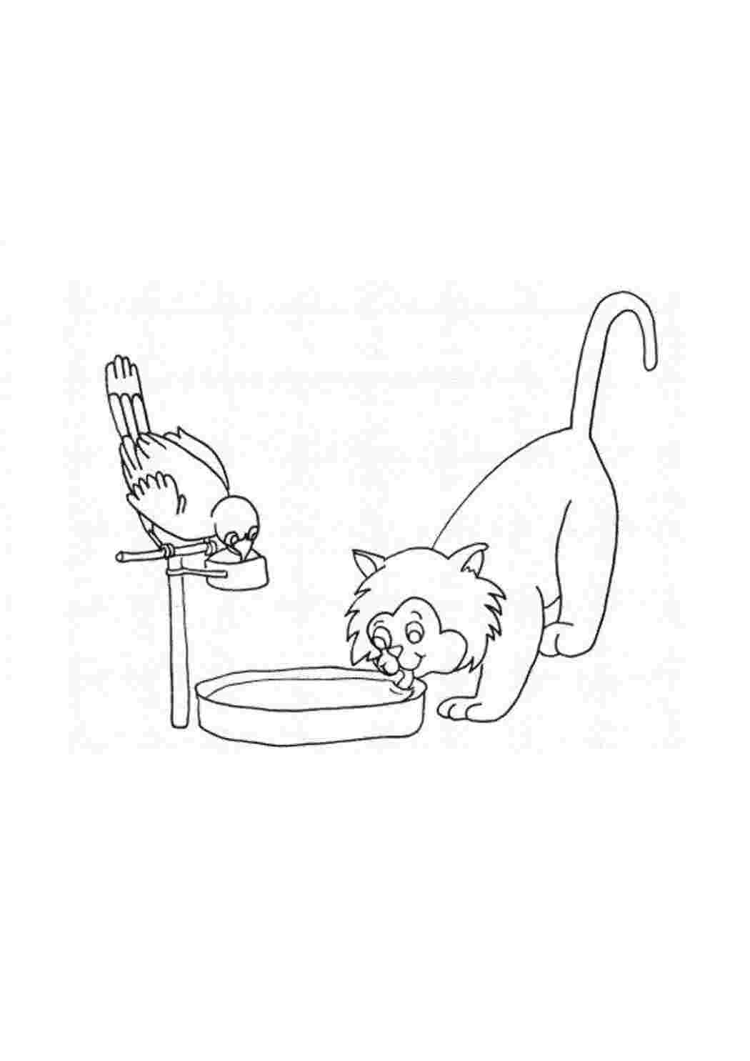 Раскраски Попугай и кот пьют водичку котики Животные, котёнок