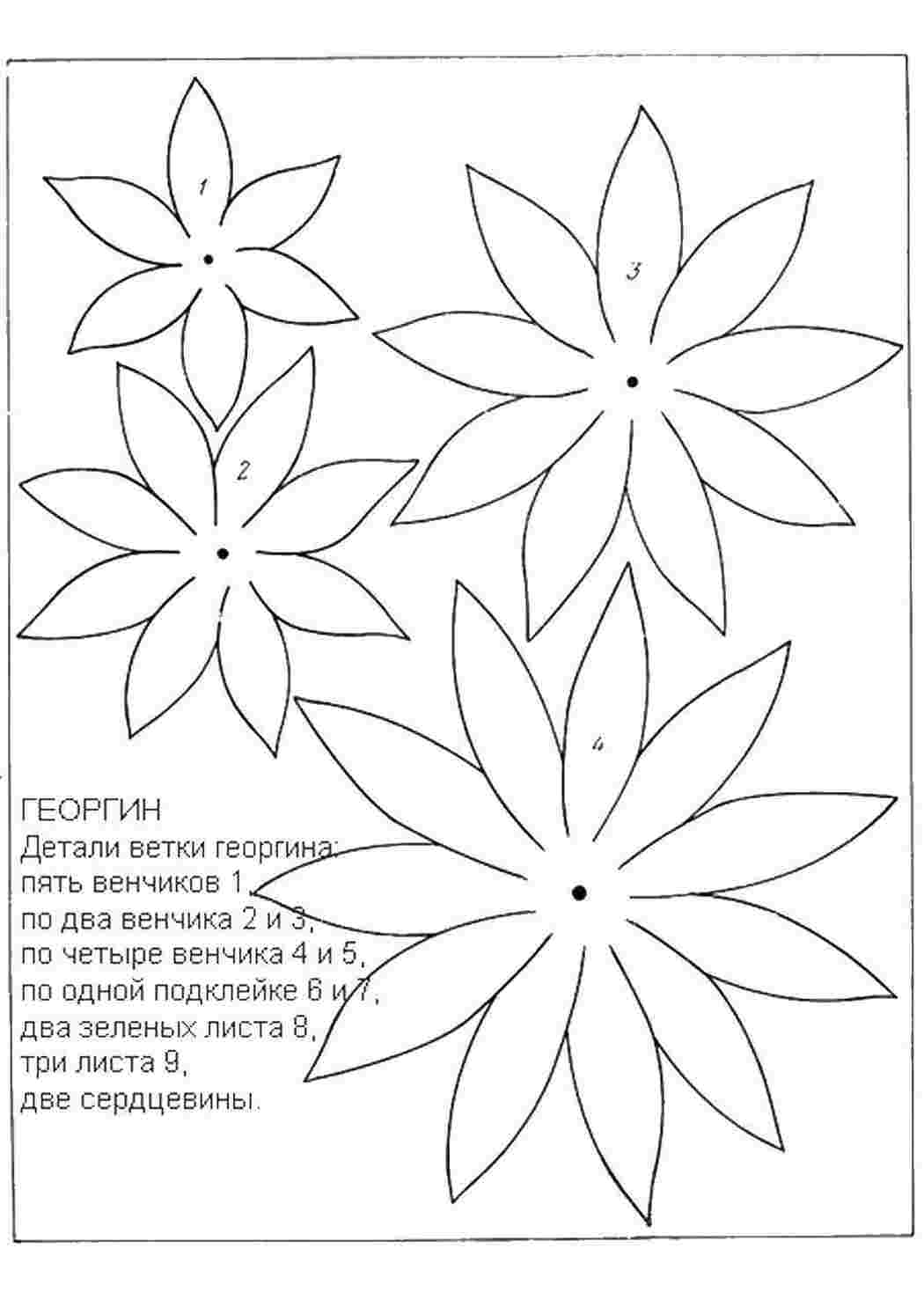 Раскраски Георгин цветы георины, сделай сам