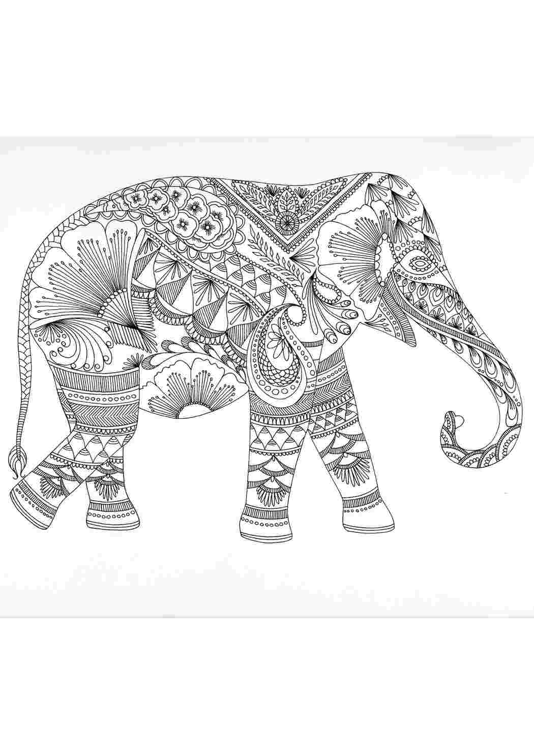 Раскраски Слон и узоры Животные слон, узоры, хобот