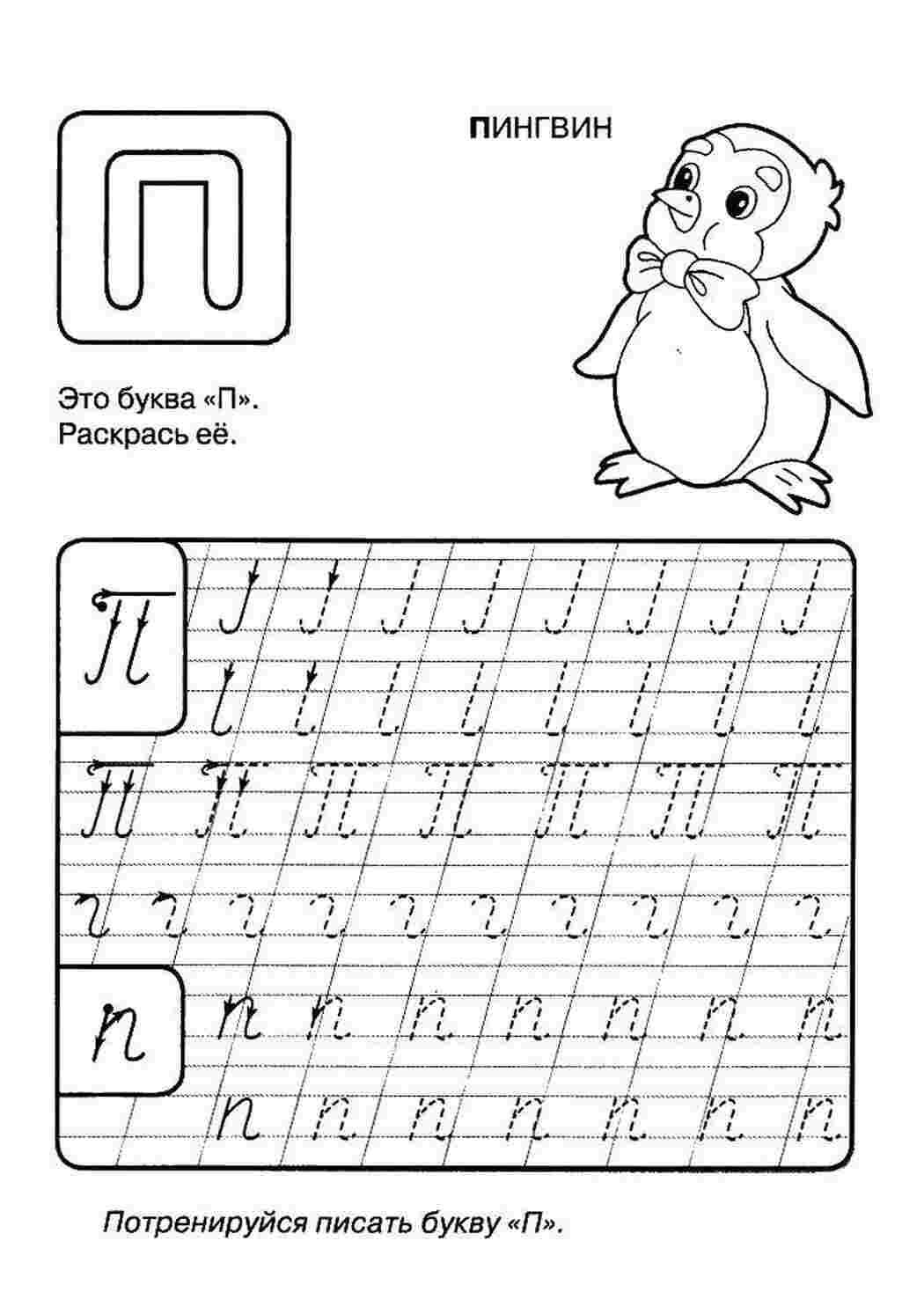 Раскраски Пропись буквы п пропись пропись, алфавит, буква П, пингвин