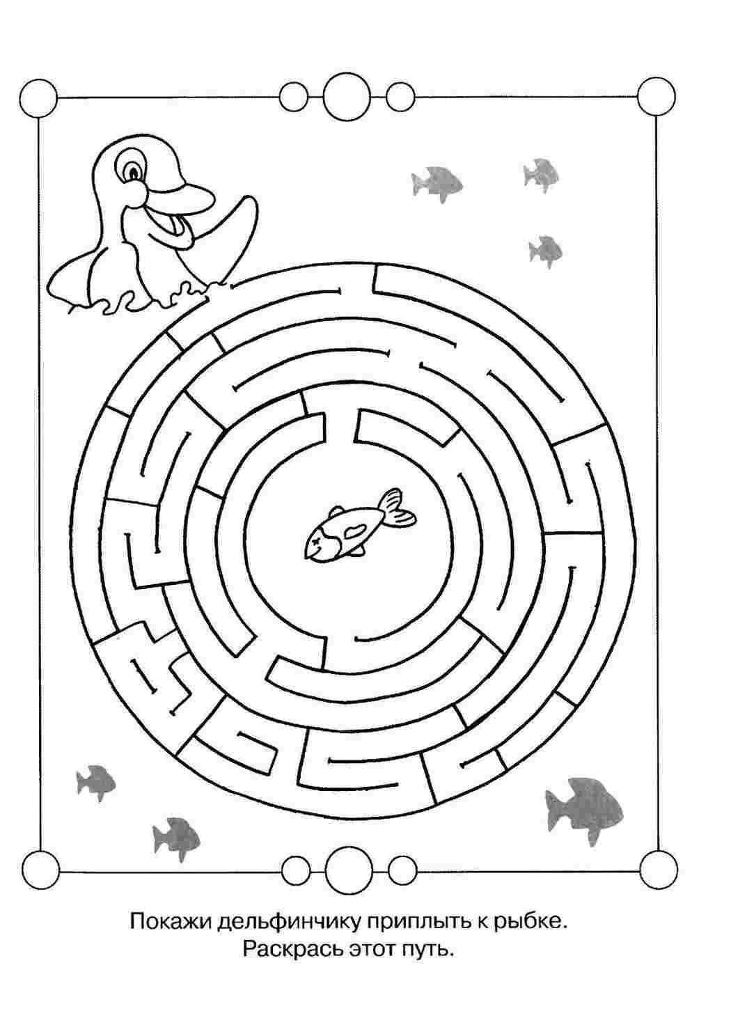 Раскраски лабиринт детская раскраска-лабиринт, помоги дельфину приплыть к рыбке  Раскраски скачать онлайн