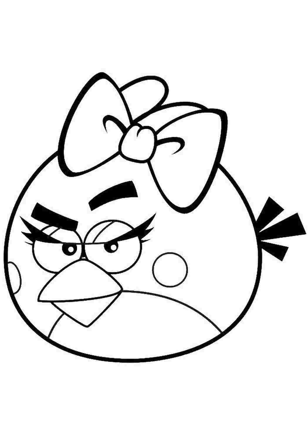 angry birds энгри бердз