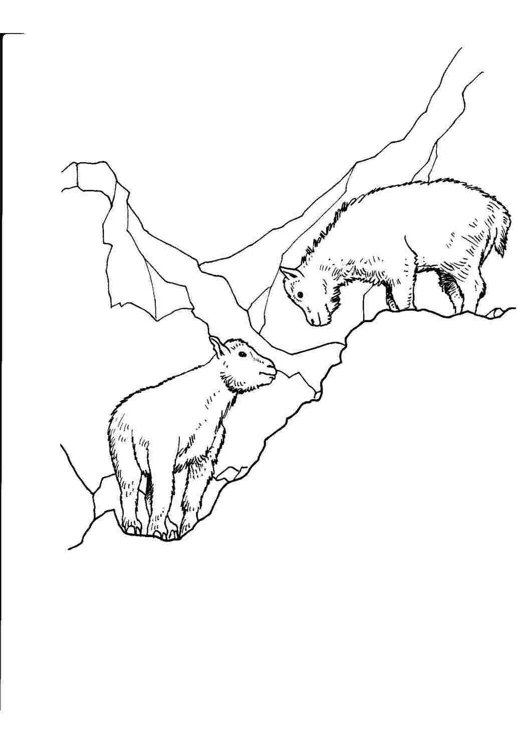 Раскраски картинки на рабочий стол онлайн Ягнята горах Скачать раскраски для мальчиков