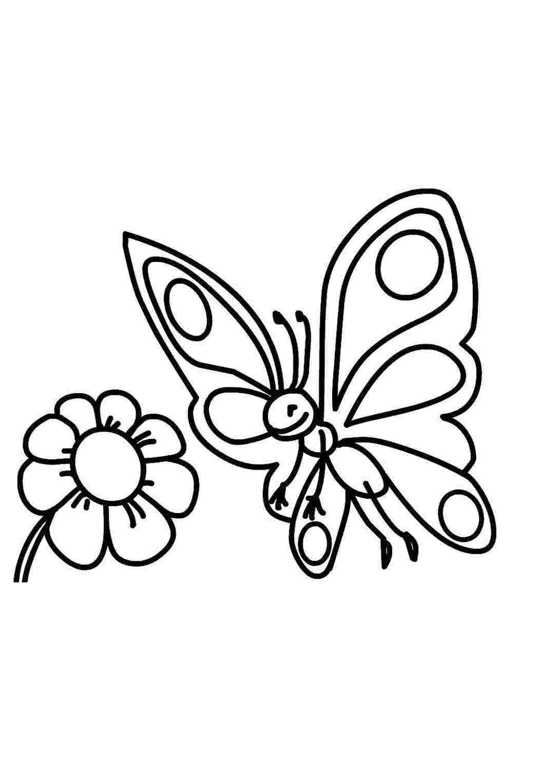 Раскраски Бабочка хочет сесть на цветок бабочки Бабочка, цветы