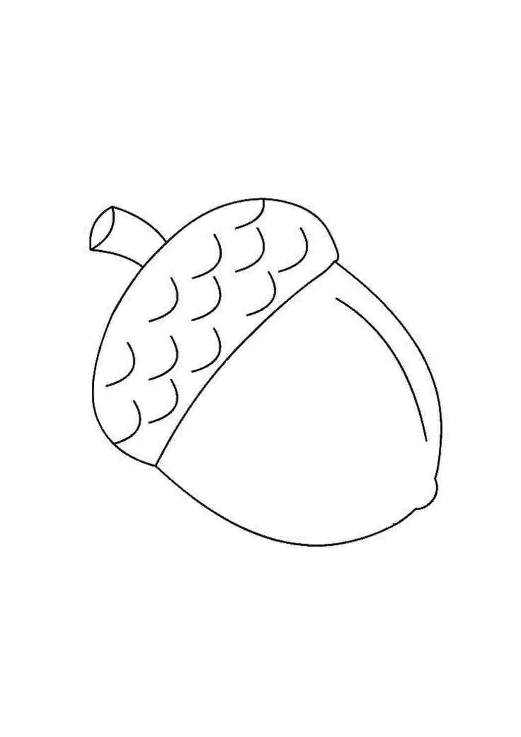 белочка белка, бобы, жёлуди