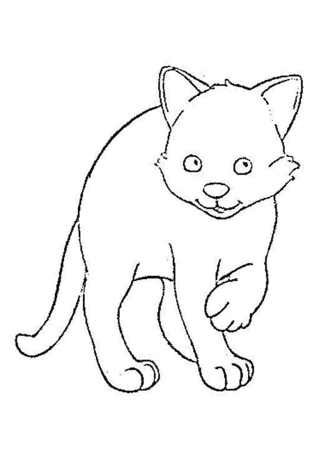 Раскраски Котенок домашние животные животные, кошка, котенок