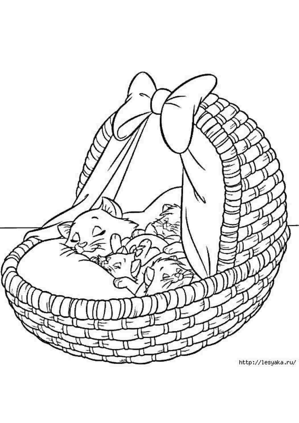 Кошка кошки, котята, корзина