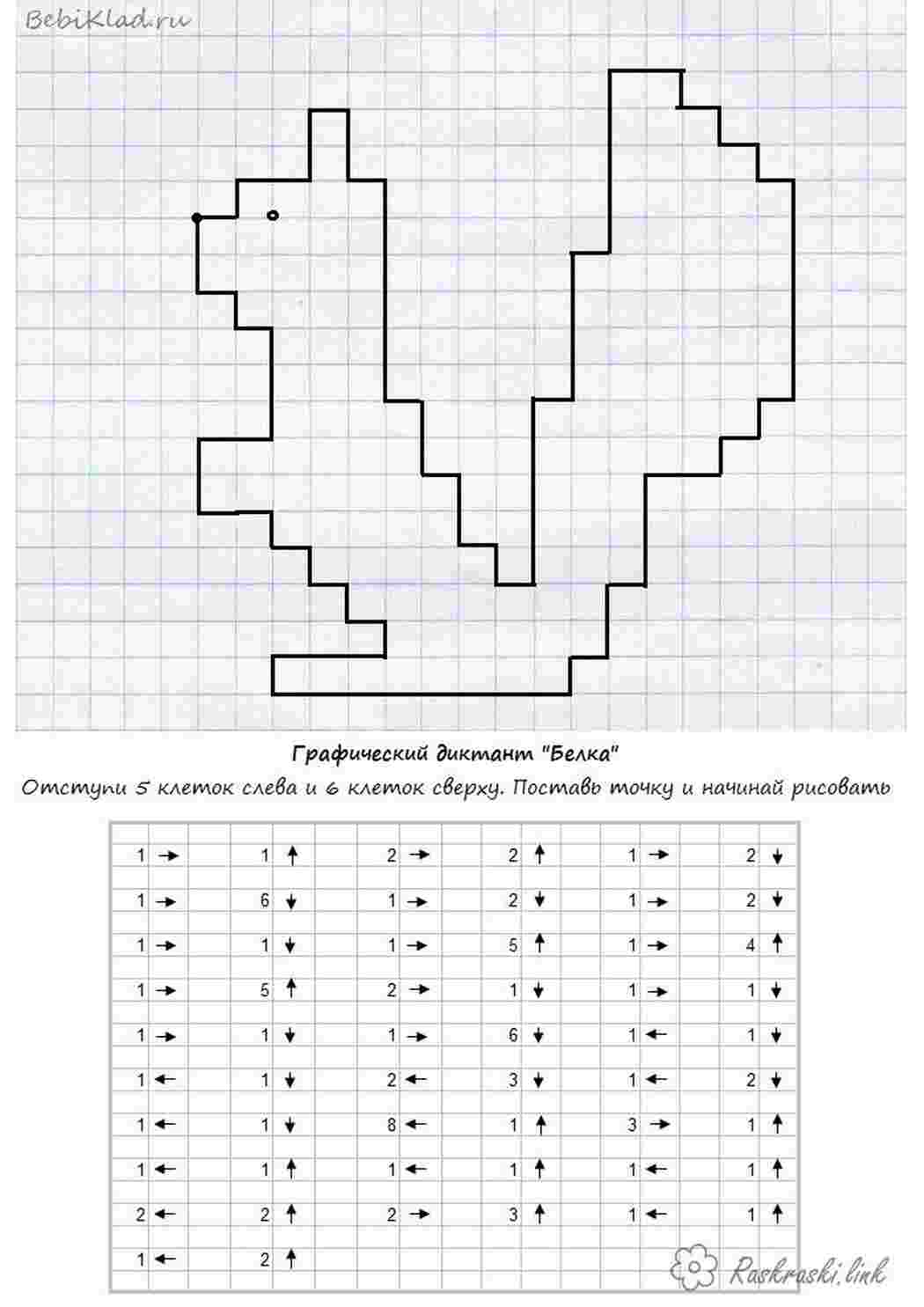 Раскраски Графический диктант ,  рисуем по клеточкам белочку Раскраски Графический диктант 