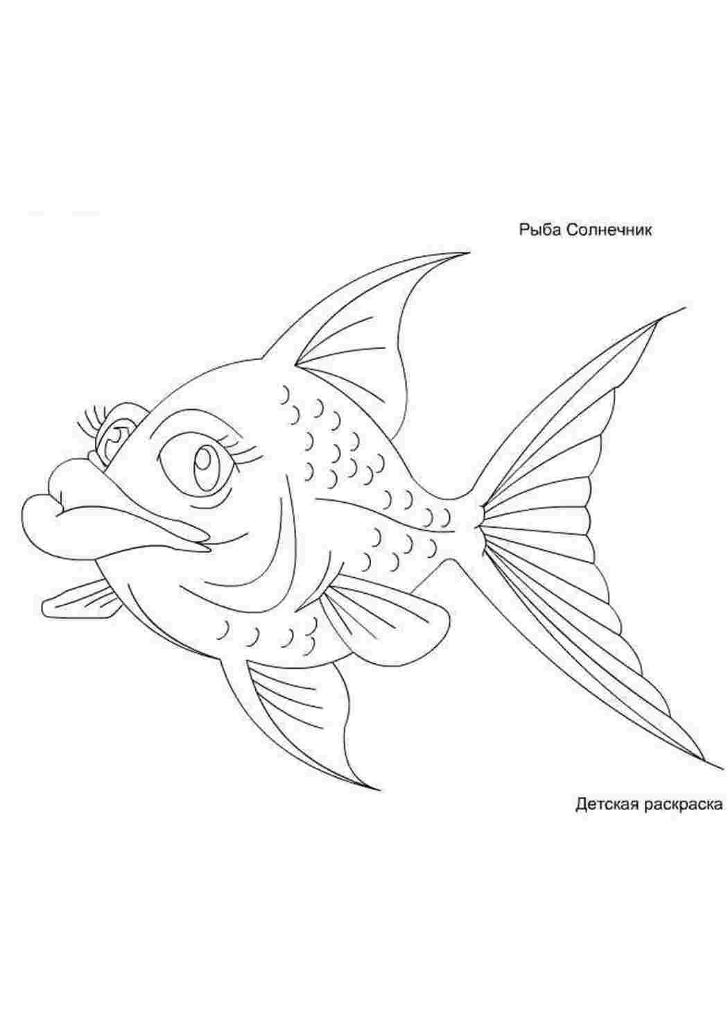 Раскраски Рыба солнце. детская раскраска для распечатывания и скачивания. Рыба солнце. детская раскраска для распечатывания и скачивания.  Раскраски скачать онлайн