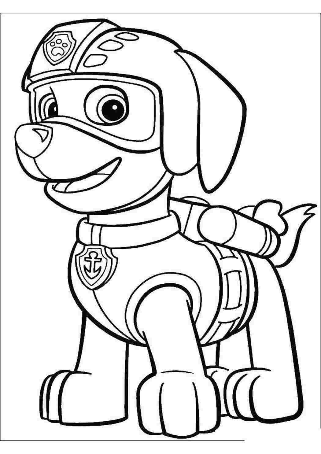 Раскраски Зума щенок лабрадора водный спасатель щенячий патруль Зума, щенячий патруль