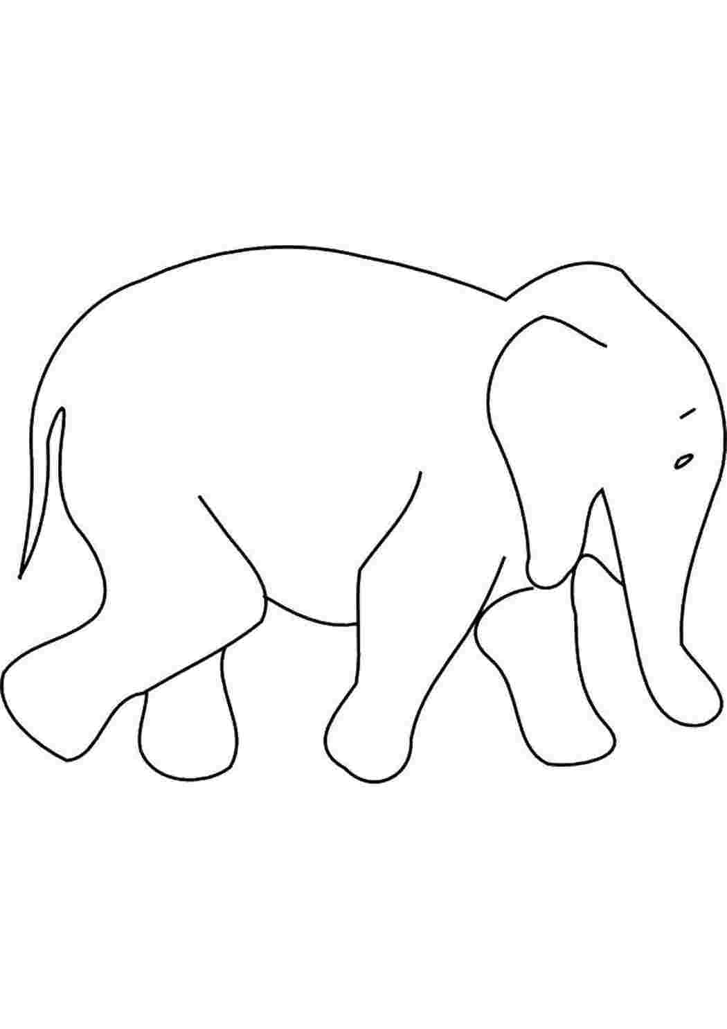 Раскраски Слон Животные Животные, слон, хобот