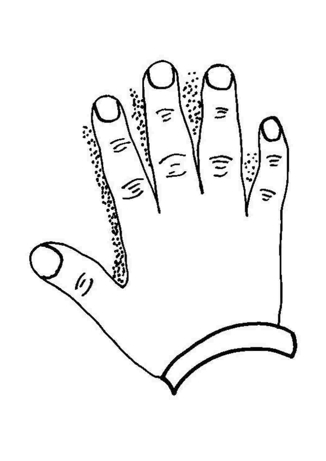 Раскраски Рука и пальцы Контур руки и ладошки для вырезания ладонь, пальцы