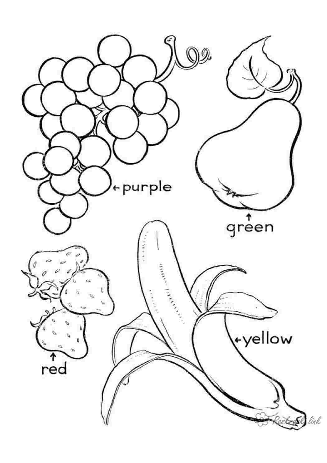 Раскраска “Азбука. Растения, овощи, фрукты (с наклейками)”.