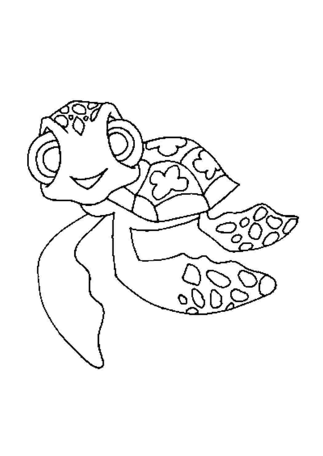 Раскраски Морская черепаха череп морская, черепаха