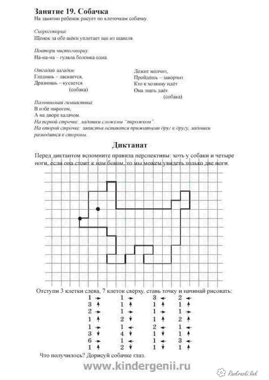 Раскраски собака Графический диктант  Раскраски Графический диктант 