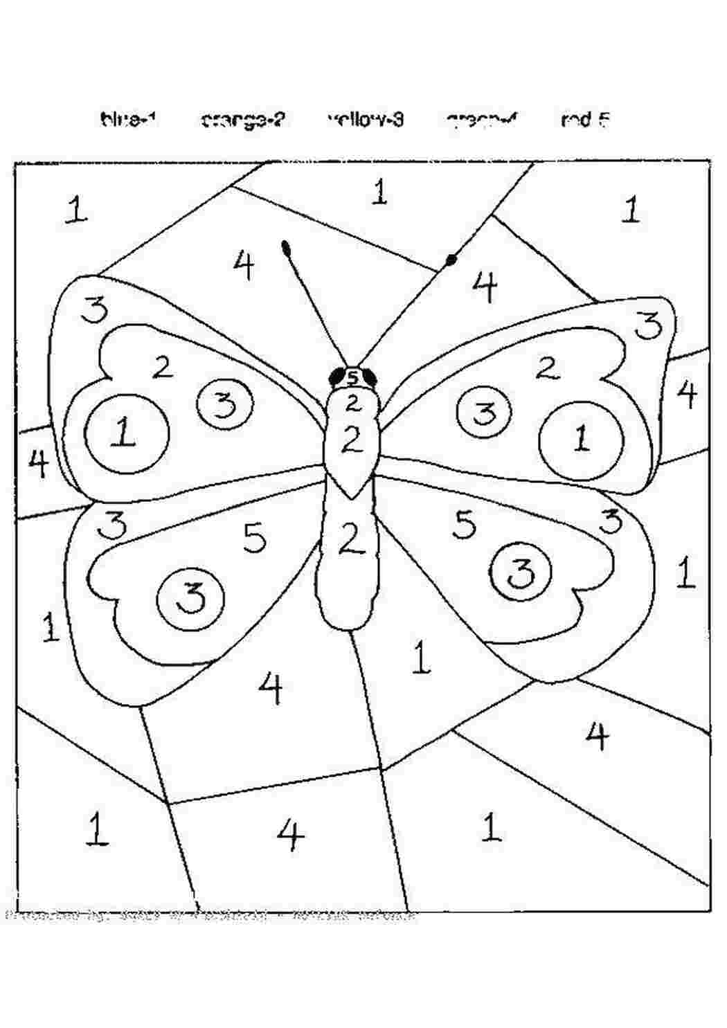 Раскраски Бабочка с усиками По номерам бабочка, усики, крылья