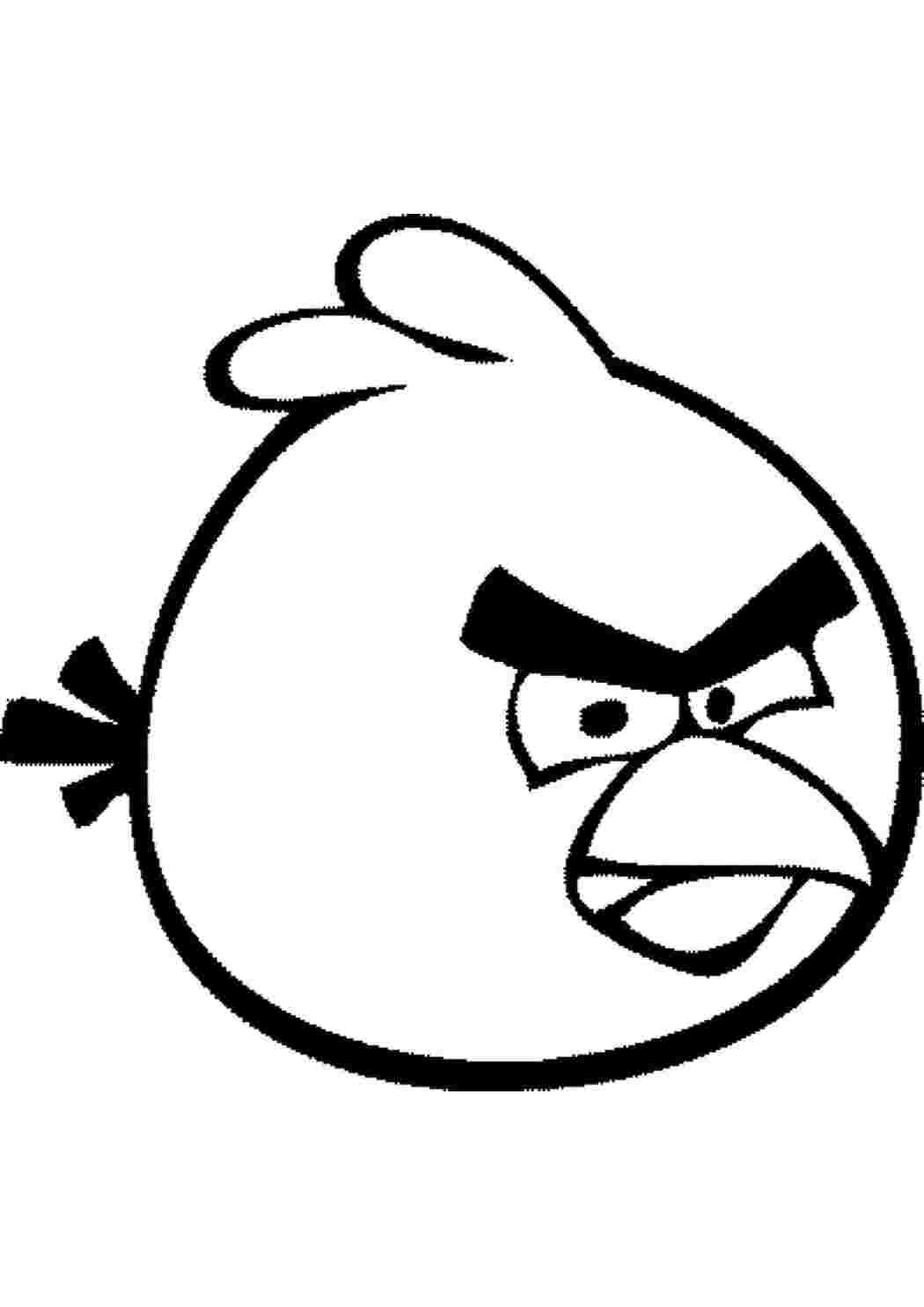 Раскраска Птичка Angry Birds. Птичка из angry birds