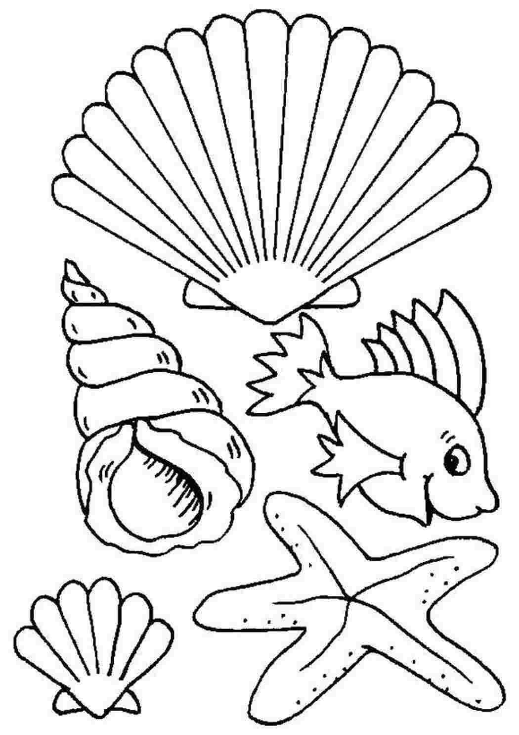 Раскраски Ракушки и рыбка Летний пляж ракушки, рыбка